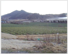  2025Ÿ��50336 ���� �س��� ȭ���� ������ 873      ����(��1)���