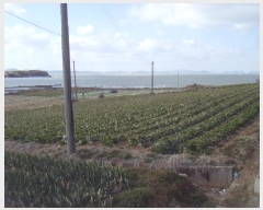  2025Ÿ��50336 ���� �س��� ȭ���� ������ 873      ����(��1)���