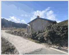  2025Ÿ��50340 ���� �س��� ȭ���� �Ŵ��� 1195-2      ����(��1)���