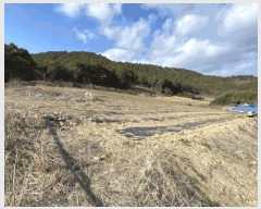  2025Ÿ��50340 ���� �س��� ȭ���� �Ŵ��� 1195-2      ����(��1)���