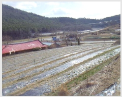  2025Ÿ��50340 ���� �س��� ȭ���� �Ŵ��� 1195-2      ����(��1)���