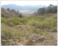  2025Ÿ��50374  �����