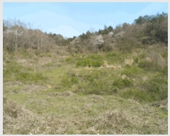  2025Ÿ��50374  �����