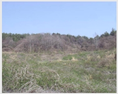  2025Ÿ��50374  �����