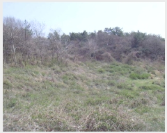  2025Ÿ��50374  �����