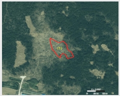  2025Ÿ��50374  �����