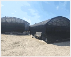  2025Ÿ��50397 ���� �ϵ��� ��ȭ�� ��긮 1115      ���ð��