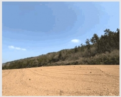  2025Ÿ��50404  �Ӿ߰��