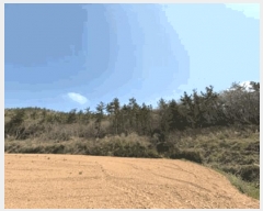  2025Ÿ��50404  �Ӿ߰��