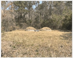  2025Ÿ��50404  �Ӿ߰��