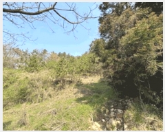  2025Ÿ��50404  �Ӿ߰��