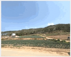  2025Ÿ��50404  �Ӿ߰��