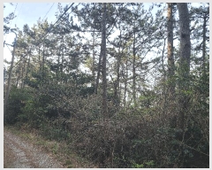  2025Ÿ��50422  �Ӿ߰��