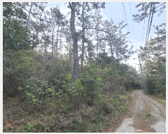  2025Ÿ��50422  �Ӿ߰��