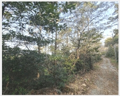  2025Ÿ��50422  �Ӿ߰��