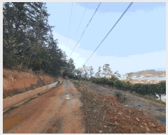  2025Ÿ��50422  �Ӿ߰��