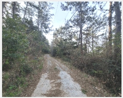  2025Ÿ��50422  �Ӿ߰��