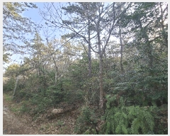  2025Ÿ��50422  �Ӿ߰��