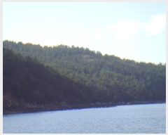  2025Ÿ��50422  �Ӿ߰��