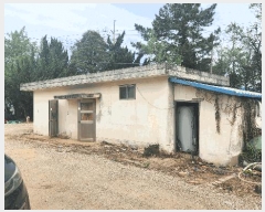  2025Ÿ��50433  ������