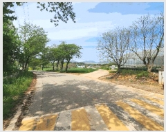  2025Ÿ��50433  ������