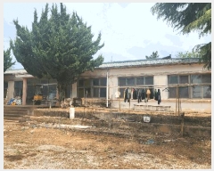  2025Ÿ��50433  ������