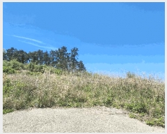  2025Ÿ��50433  ������