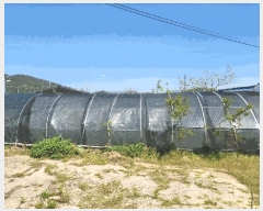  2025Ÿ��50440 ���� �س��� ����� ��ϸ� 687      ���ð��