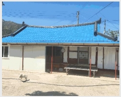  2025Ÿ��50440 ���� �س��� ����� ��ϸ� 687      ���ð��