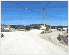  2025Ÿ��50440 ���� �س��� ����� ��ϸ� 687      ���ð��