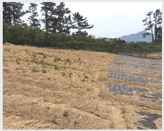  2025Ÿ��50442 ���� �ϵ��� ��ȭ�� �漭�� 315-1      ����(��1)���