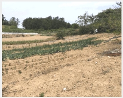  2025Ÿ��50442 ���� �ϵ��� ��ȭ�� �漭�� 315-1      ����(��1)���