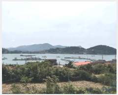  2025Ÿ��50442 ���� �ϵ��� ��ȭ�� �漭�� 315-1      ����(��1)���