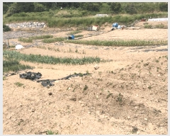  2025Ÿ��50442 ���� �ϵ��� ��ȭ�� �漭�� 315-1      ����(��1)���