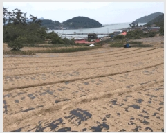  2025Ÿ��50442 ���� �ϵ��� ��ȭ�� �漭�� 315-1      ����(��1)���