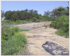  2025Ÿ��50442 ���� �ϵ��� ��ȭ�� �漭�� 315-1      ����(��1)���