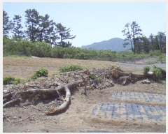  2025Ÿ��50442 ���� �ϵ��� ��ȭ�� �漭�� 315-1      ����(��1)���