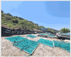  2025Ÿ��50443 ���� �ϵ��� ����� ���븮 ��230-1      ����(�Ӿ�)���
