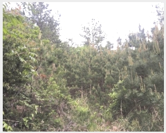  2025Ÿ��50456 ���� �س��� ����� �� ��34      ����(�Ӿ�)���