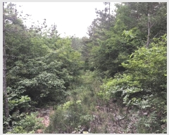  2025Ÿ��50456 ���� �س��� ����� �� ��34      ����(�Ӿ�)���