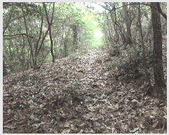  2025Ÿ��50456 ���� �س��� ����� �� ��34      ����(�Ӿ�)���