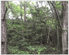  2025Ÿ��50456 ���� �س��� ����� �� ��34      ����(�Ӿ�)���