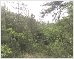  2025Ÿ��50456 ���� �س��� ����� �� ��34      ����(�Ӿ�)���