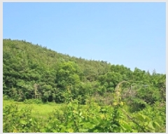  2025Ÿ��50456 ���� �س��� ����� �� ��34      ����(�Ӿ�)���