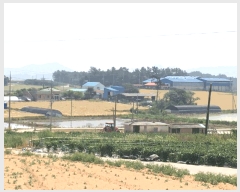  2025Ÿ��50471  �����