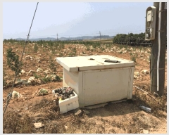  2025Ÿ��50471  �����