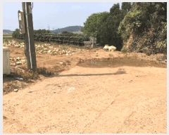  2025Ÿ��50471  �����