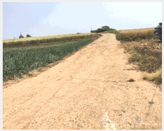  2025Ÿ��50471  �����