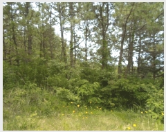  2025Ÿ��50479 ���� �ϵ��� ������ �� 133-4      ����(��1)���