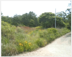  2025Ÿ��50479 ���� �ϵ��� ������ �� 133-4      ����(��1)���